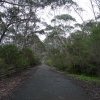 Race track at the Gully, Katoomba